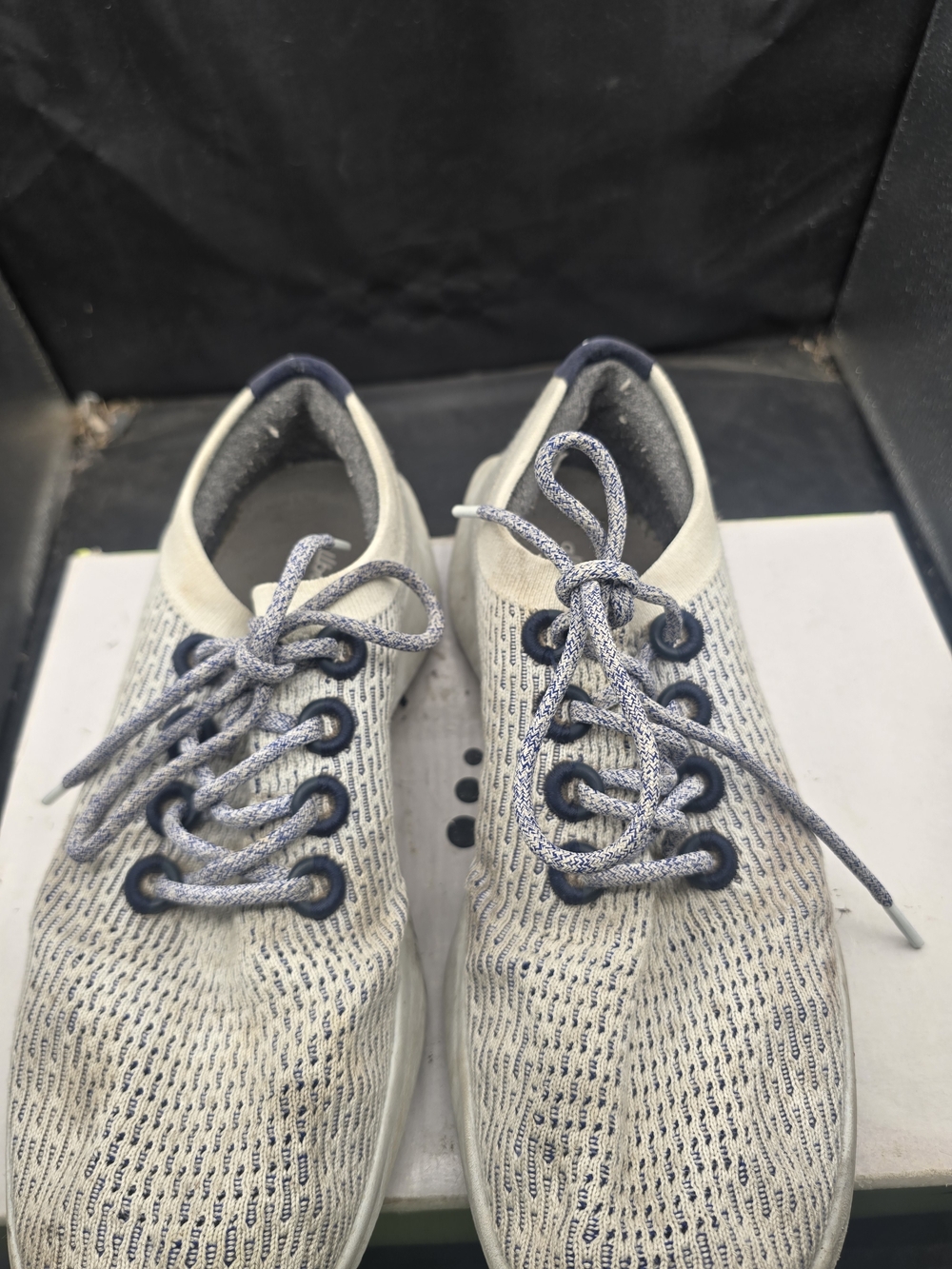 allbirds Gray Wool Casual Sneakers with Navy Detail